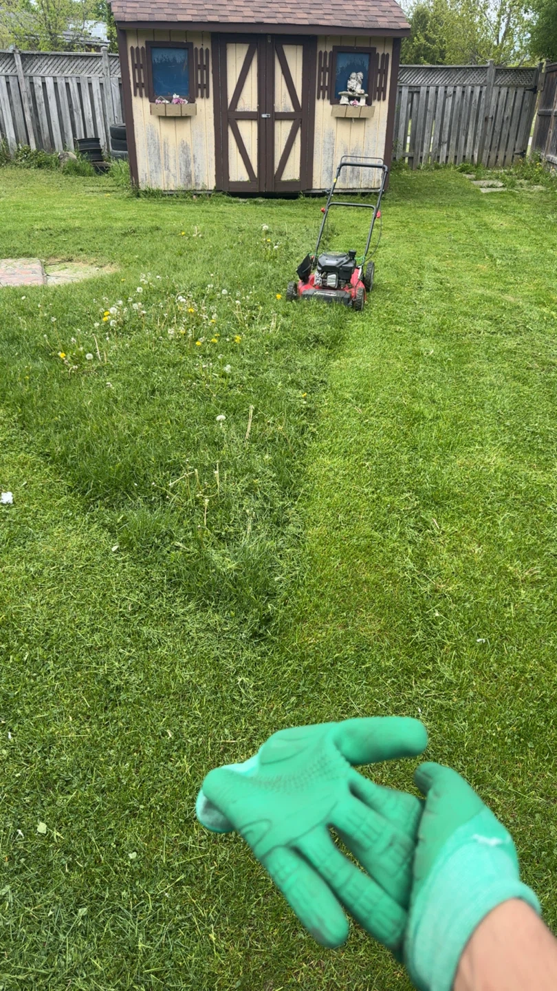 Grass cutting - photo 3