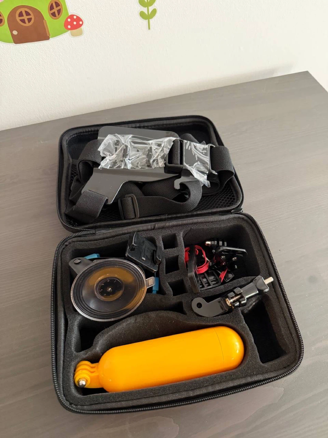 GoPro Accessory Kit with Case