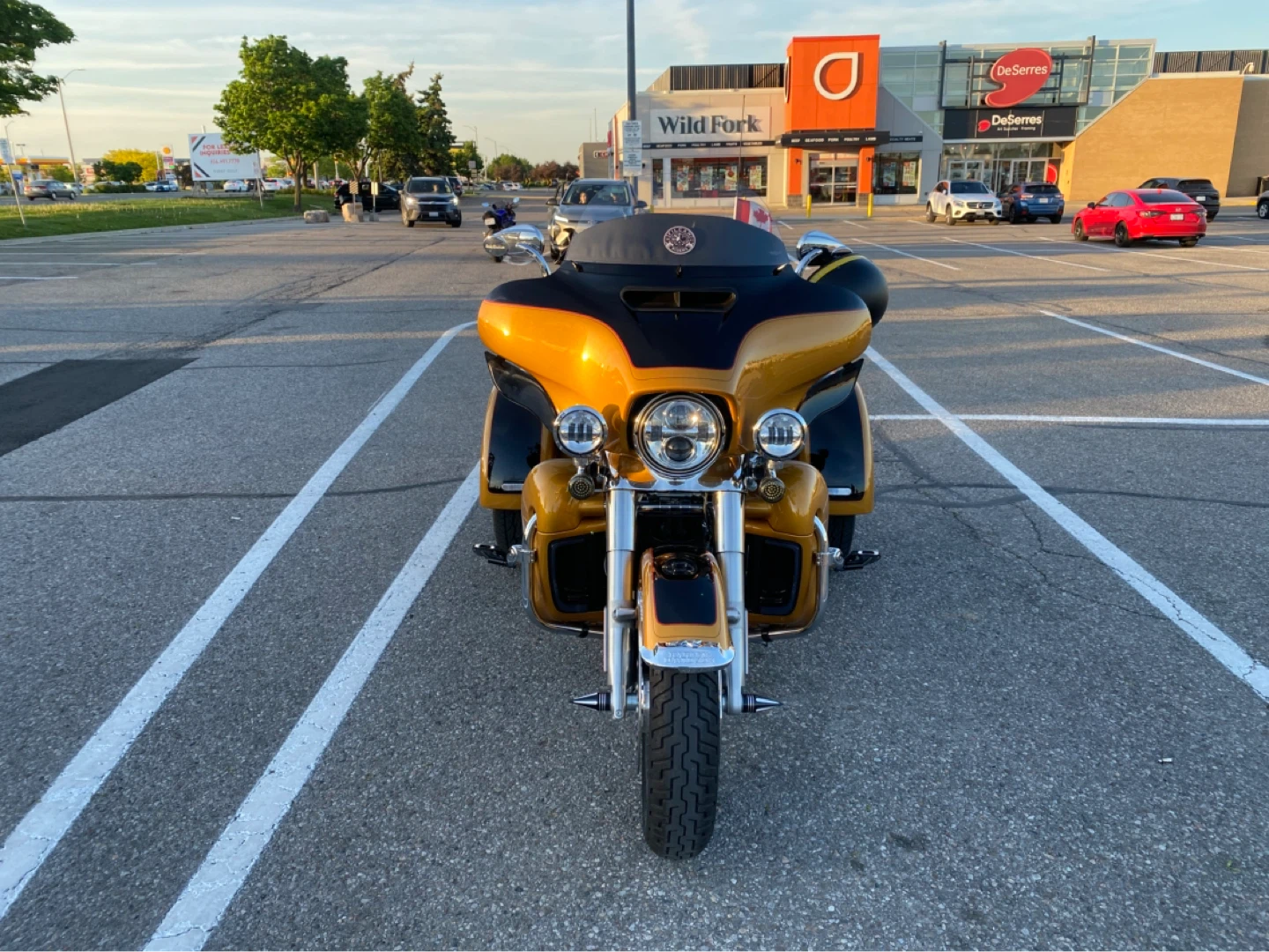 2023 Harley Triglide - photo 5