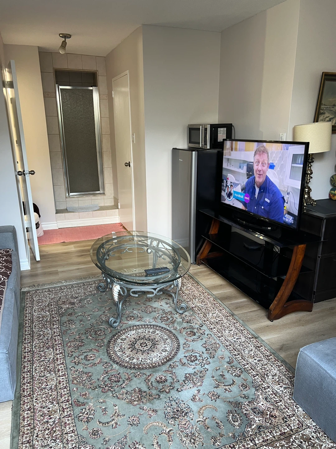 Furnished bachelor in condo Etobicoke all included $1700 - photo 2