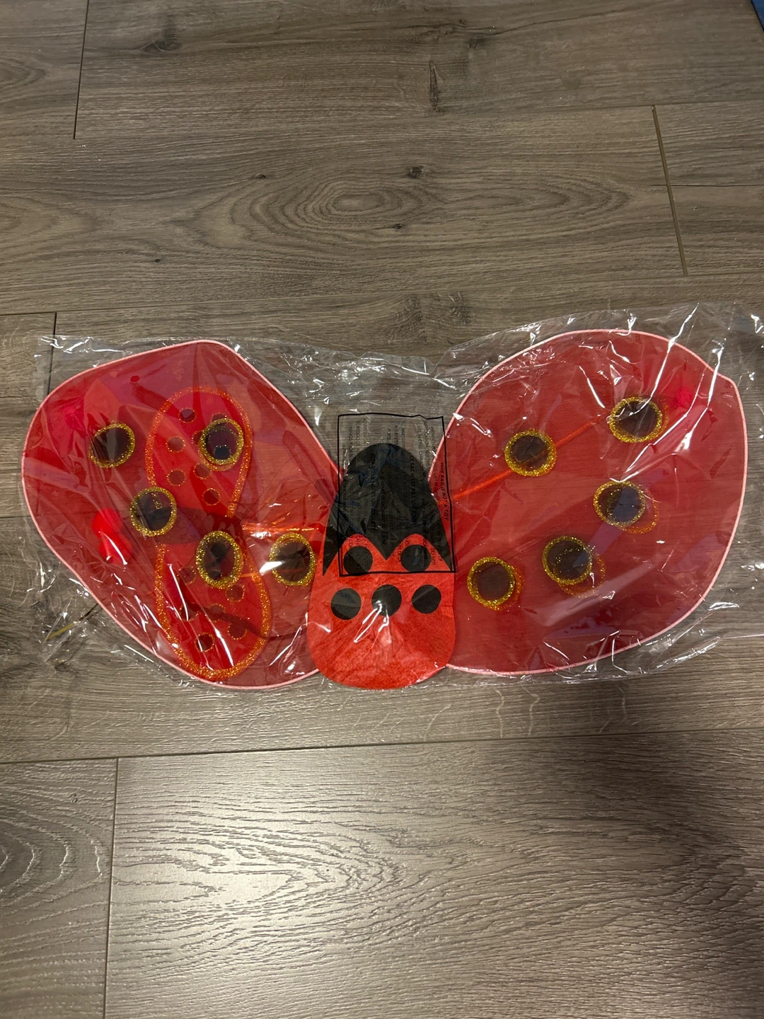 Kids Ladybug Costume