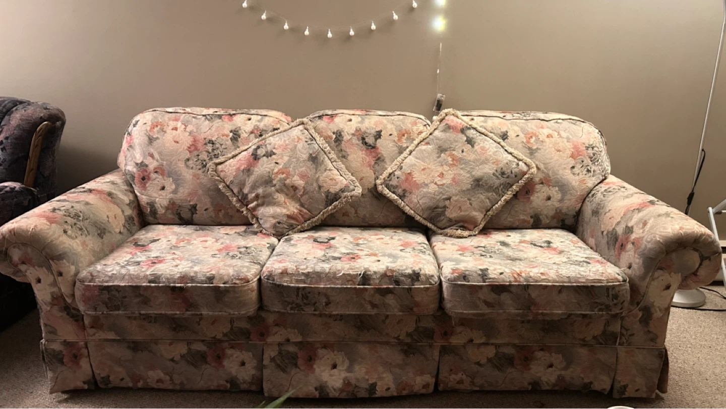 Floral Print Sofa with Two Throw Pillows