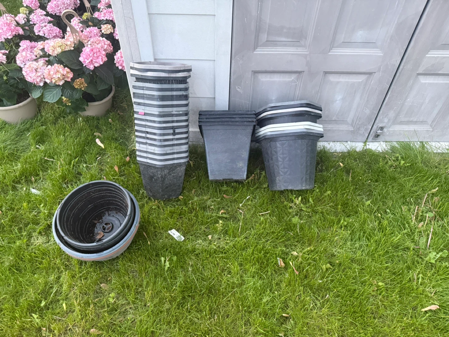 Assorted Plant Pots