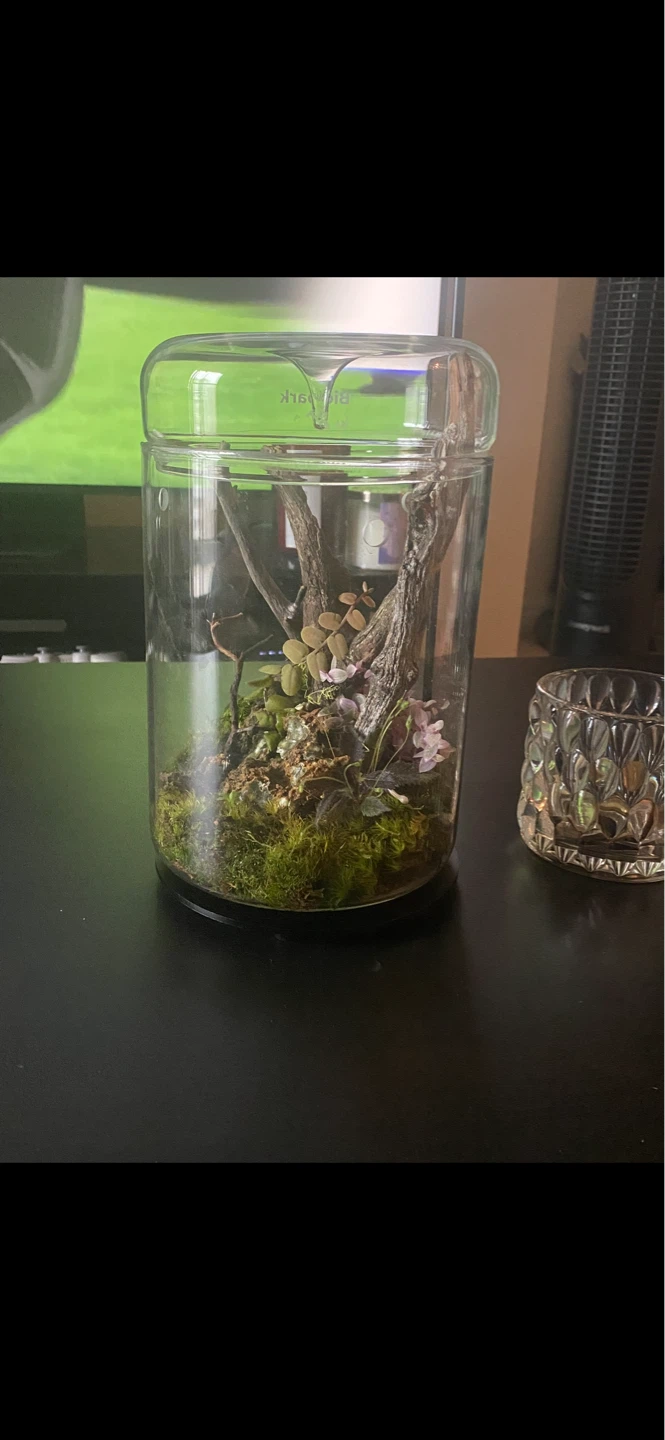 Biolbark MY-150H Terrarium