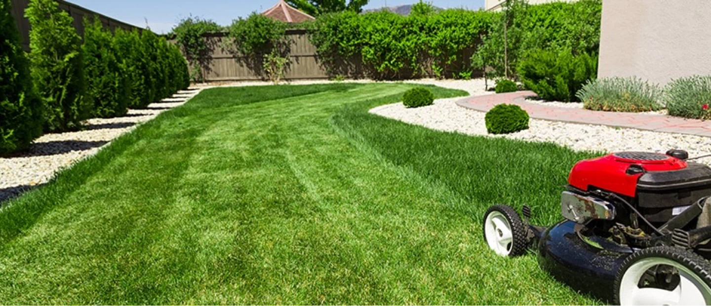 Grass cutting - photo 5