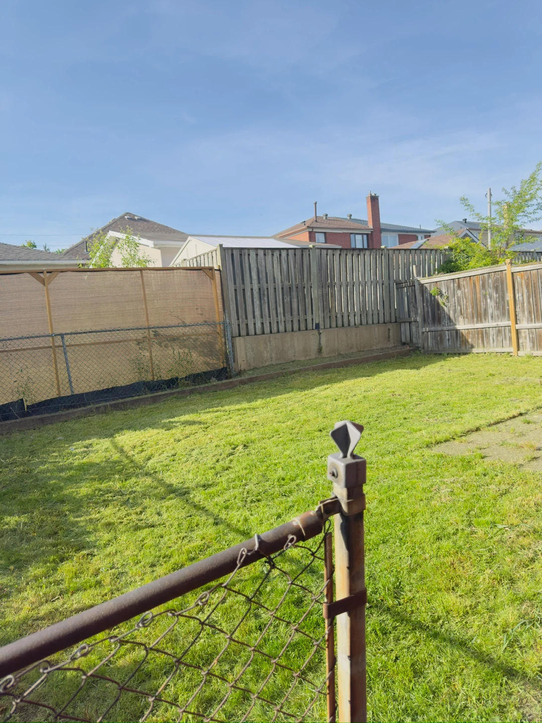 Grass cutting - photo 4