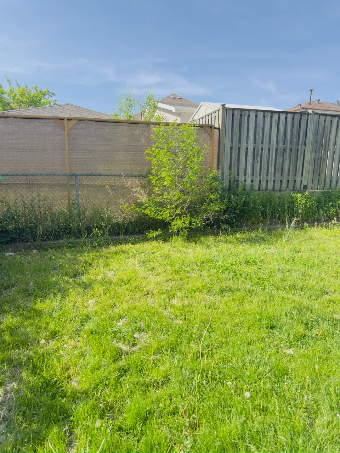 Grass cutting - photo 3