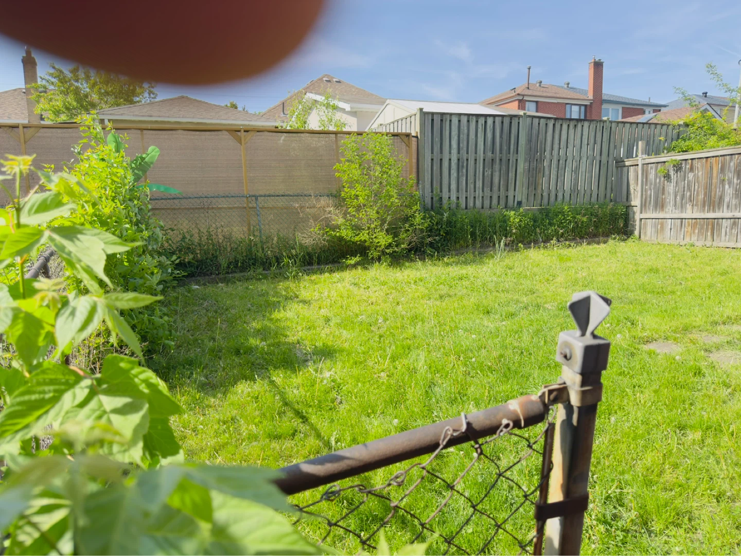 Grass cutting - photo 2