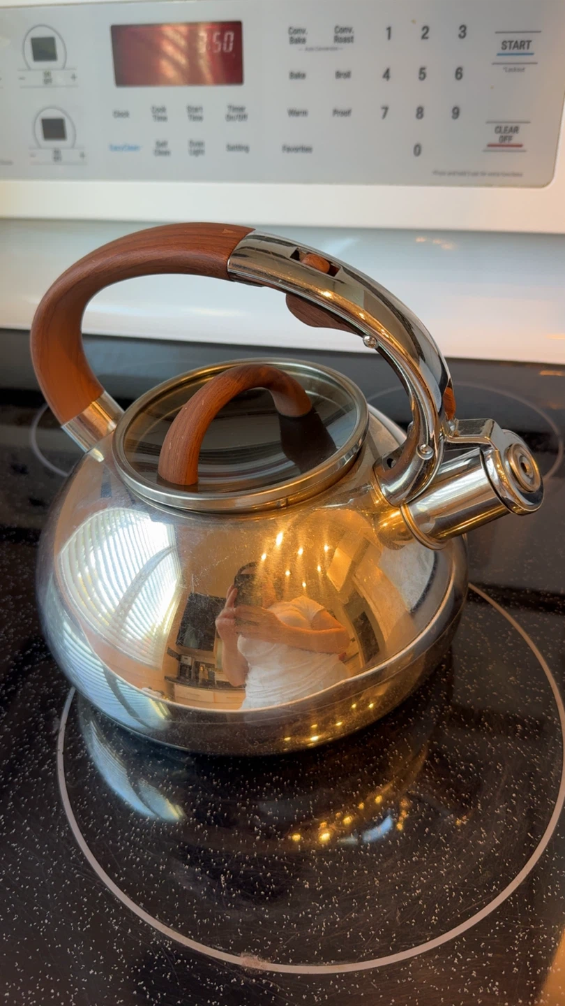Stainless Steel Kettle with Wood Handle
