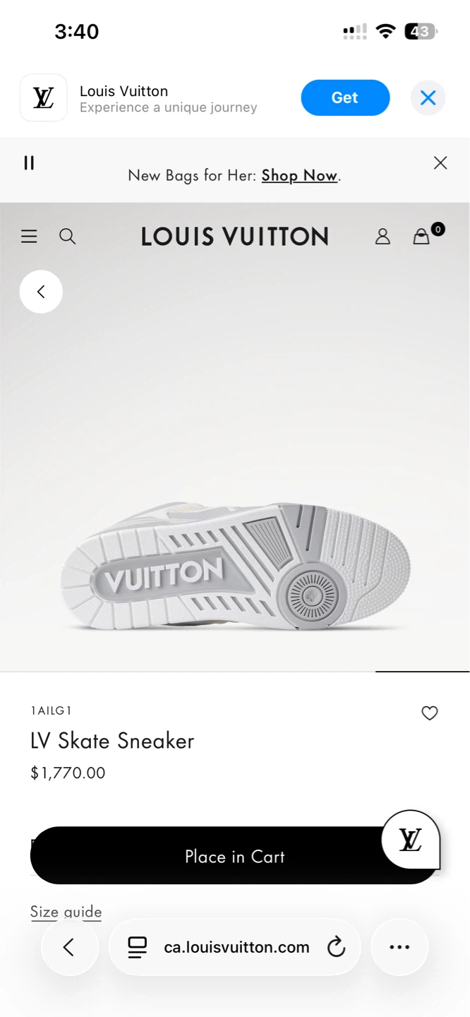 Louis Vuitton LV Skate Sneaker