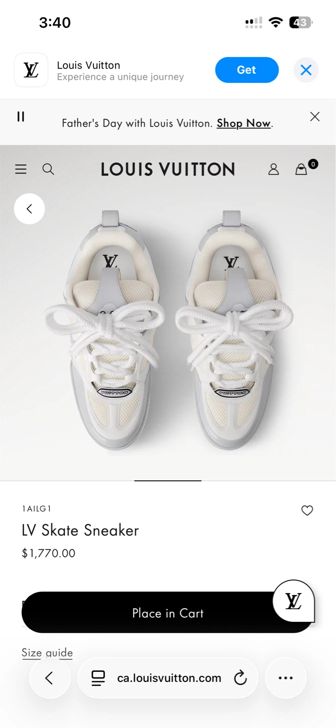 Louis Vuitton LV Skate Sneaker - photo 3