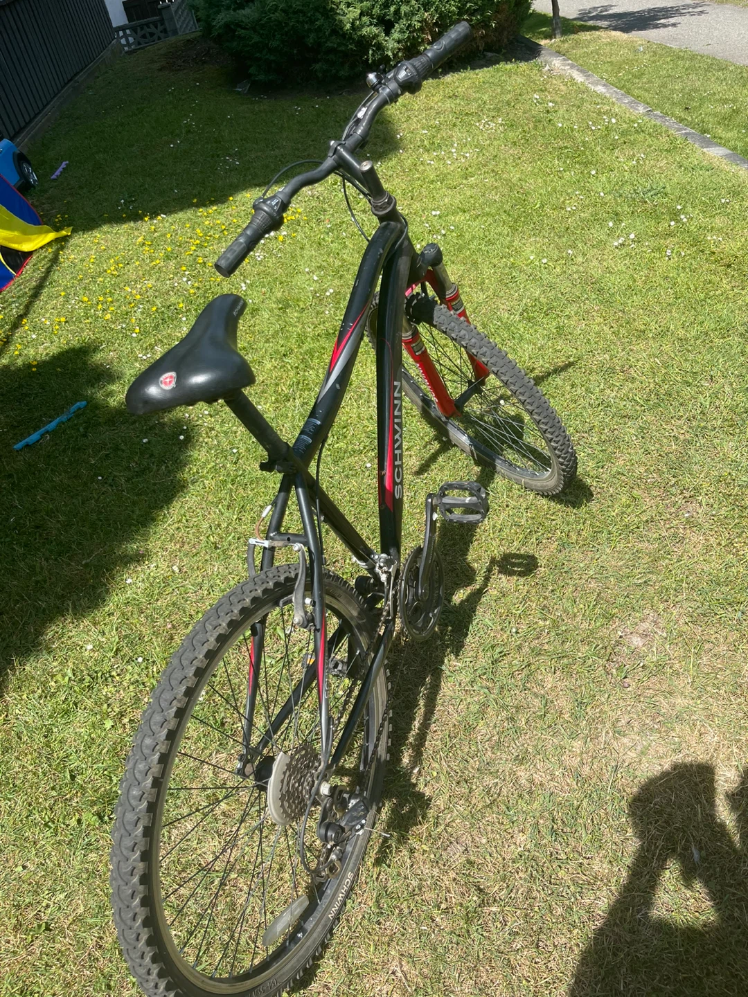 Schwinn Mountain Bike