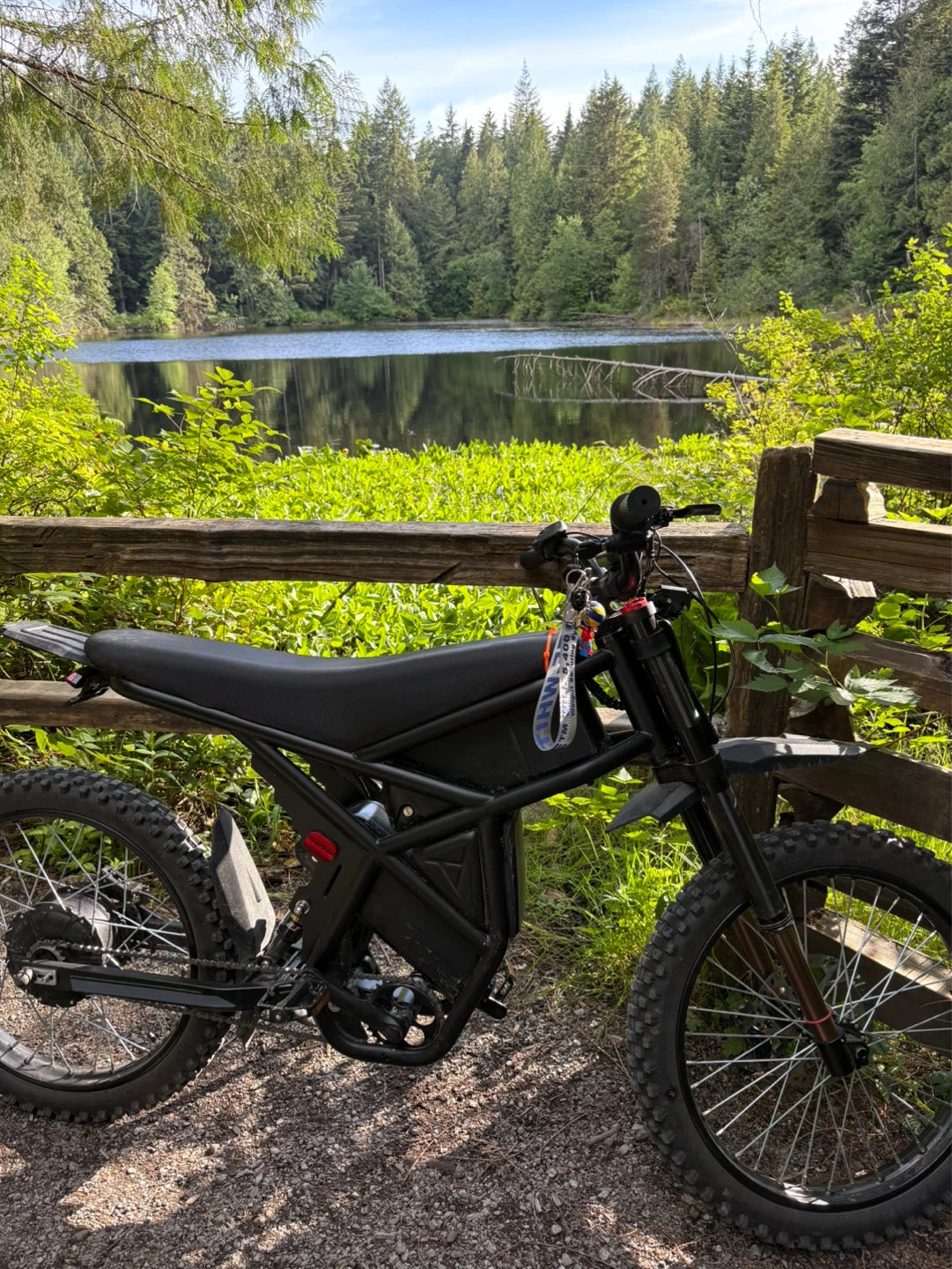 Black Electric Bike - photo 3