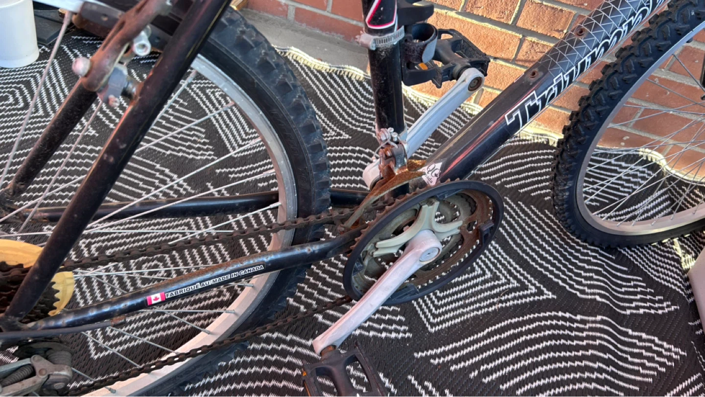 Triumph Challenger Mountain Bike - photo 3
