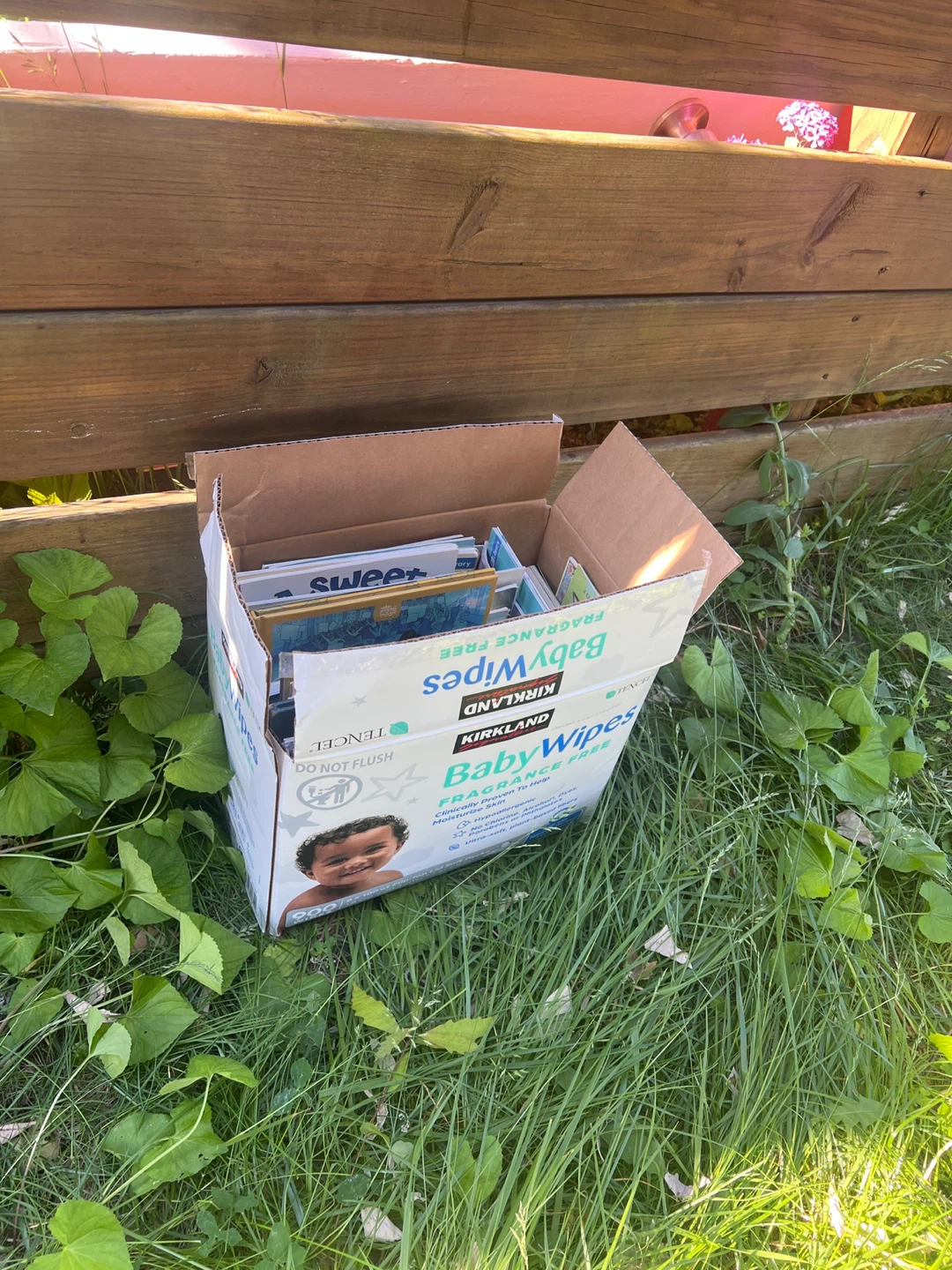 Box of Children's Books - photo 4