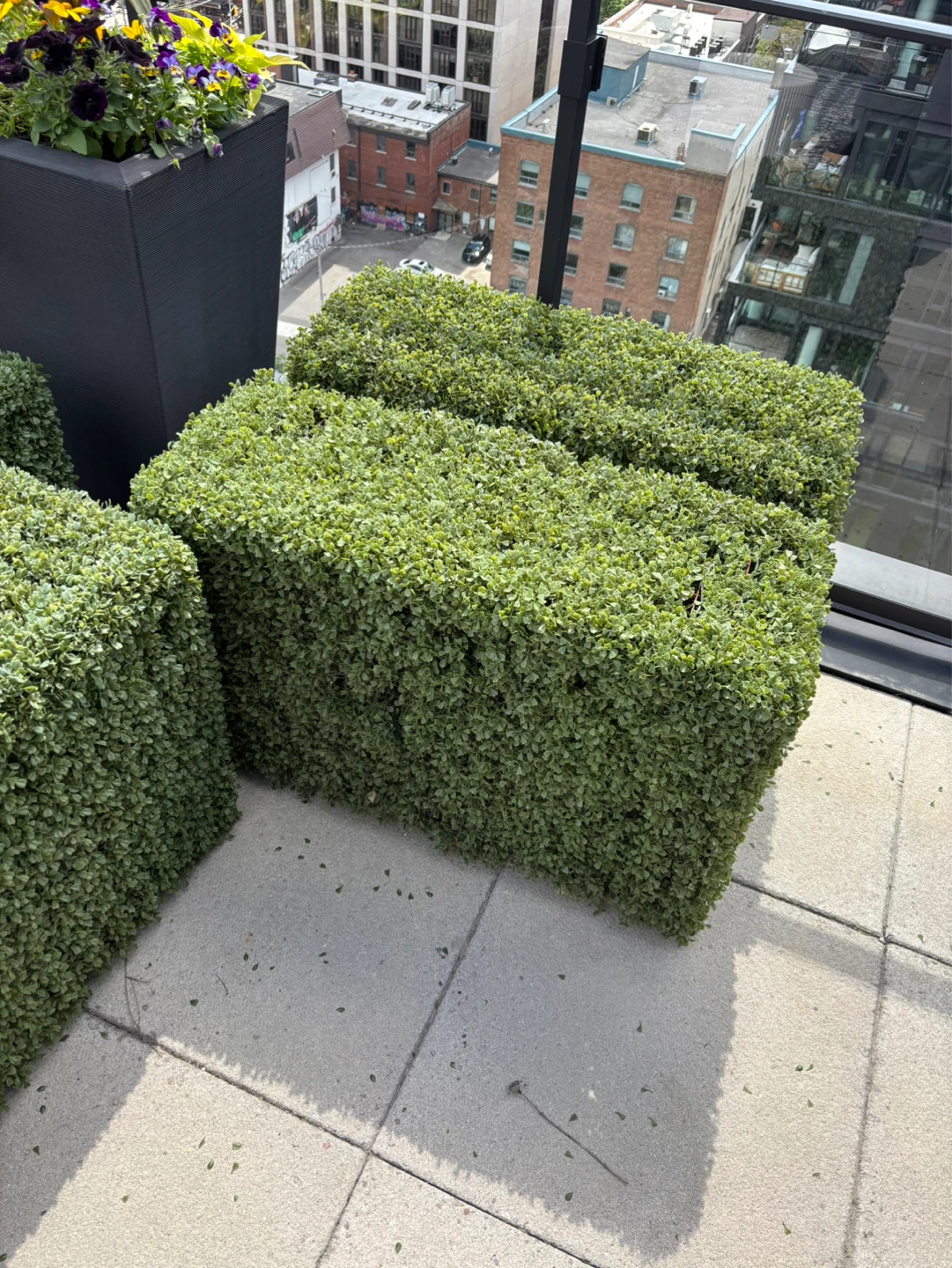 Nearly Natural Boxwood Artificial Hedge - photo 5