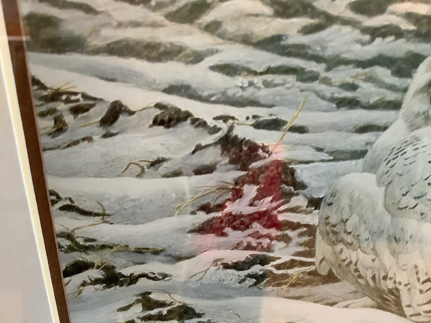 Robert Bateman’s “Plowed Field - Snowy Owl” in a Copper Frame 🐞 - photo 5