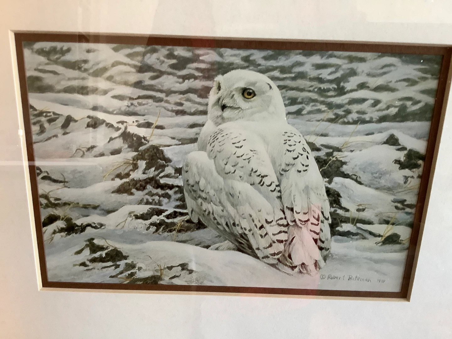 Robert Bateman’s “Plowed Field - Snowy Owl” in a Copper Frame 🐞 - photo 4