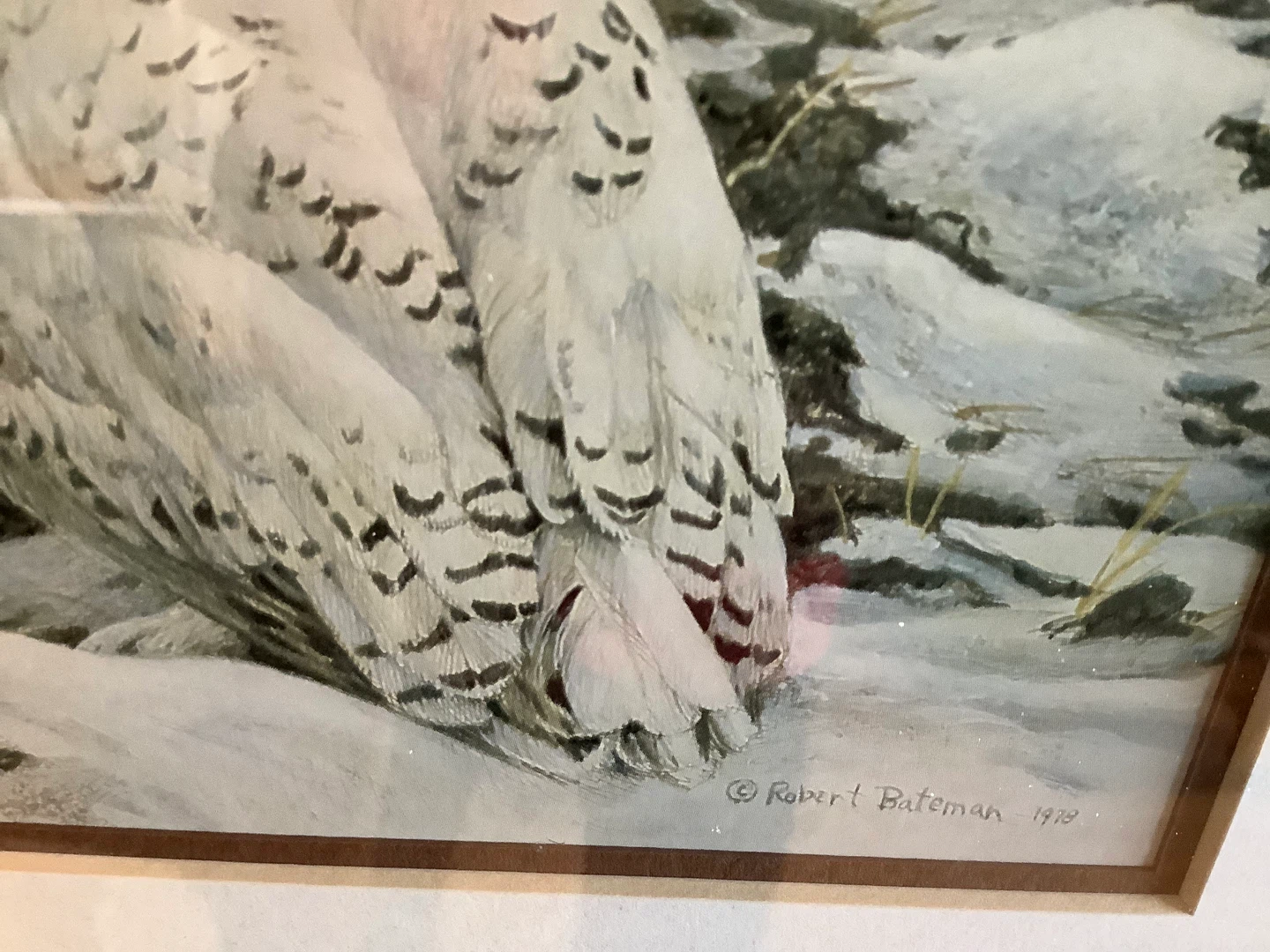 Robert Bateman’s “Plowed Field - Snowy Owl” in a Copper Frame 🐞 - photo 2