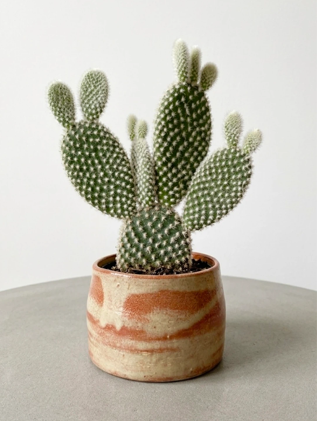 Glazed Ceramic Marbled Pot