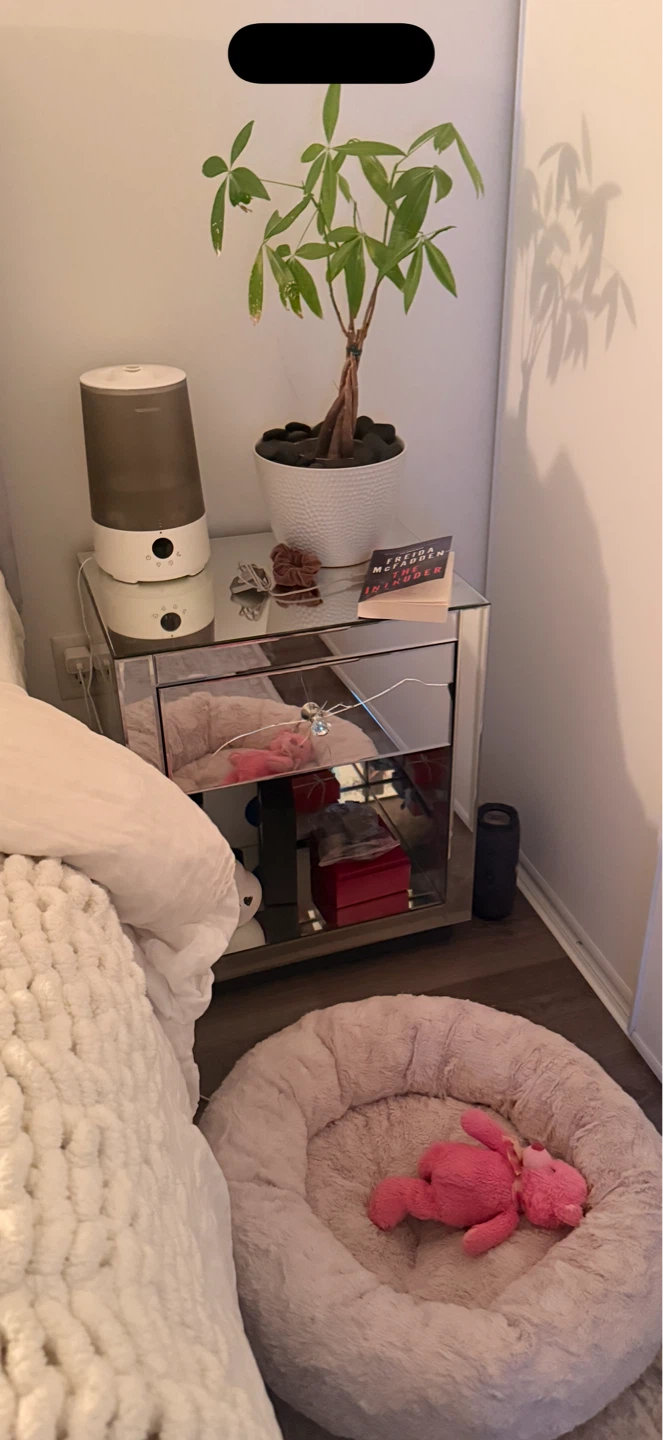 Worlds Away Beveled Mirror One Drawer Nightstand - photo 3
