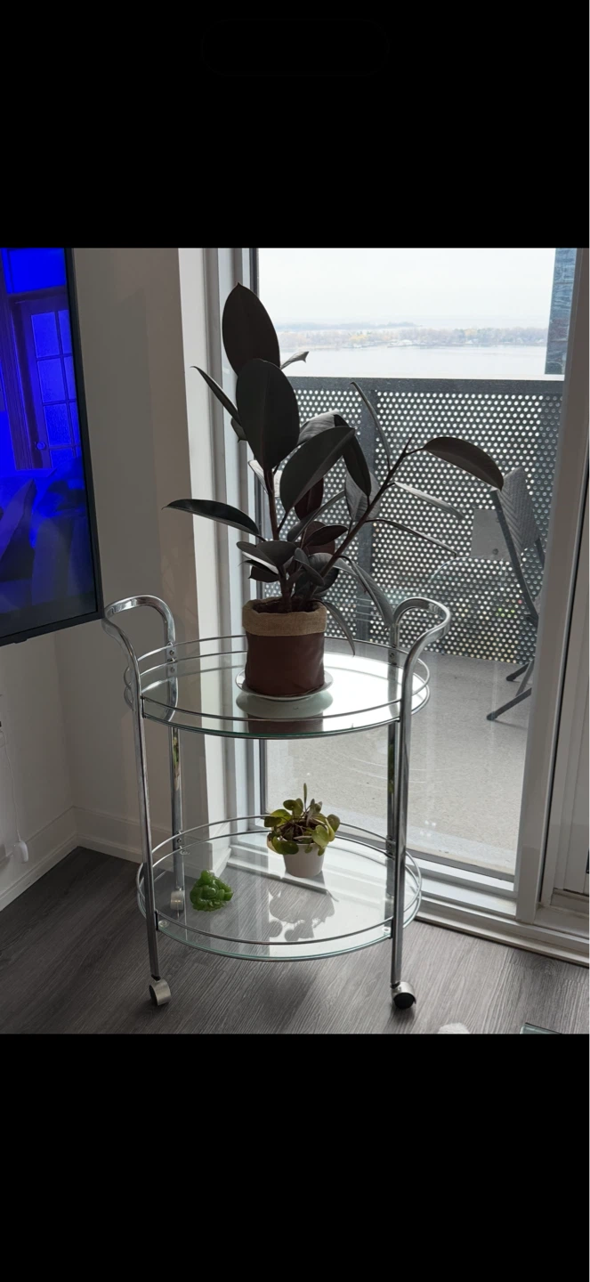 Chrome and Glass Bar Cart