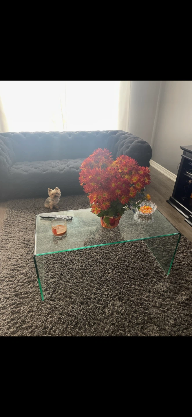 Clear Glass Coffee Table