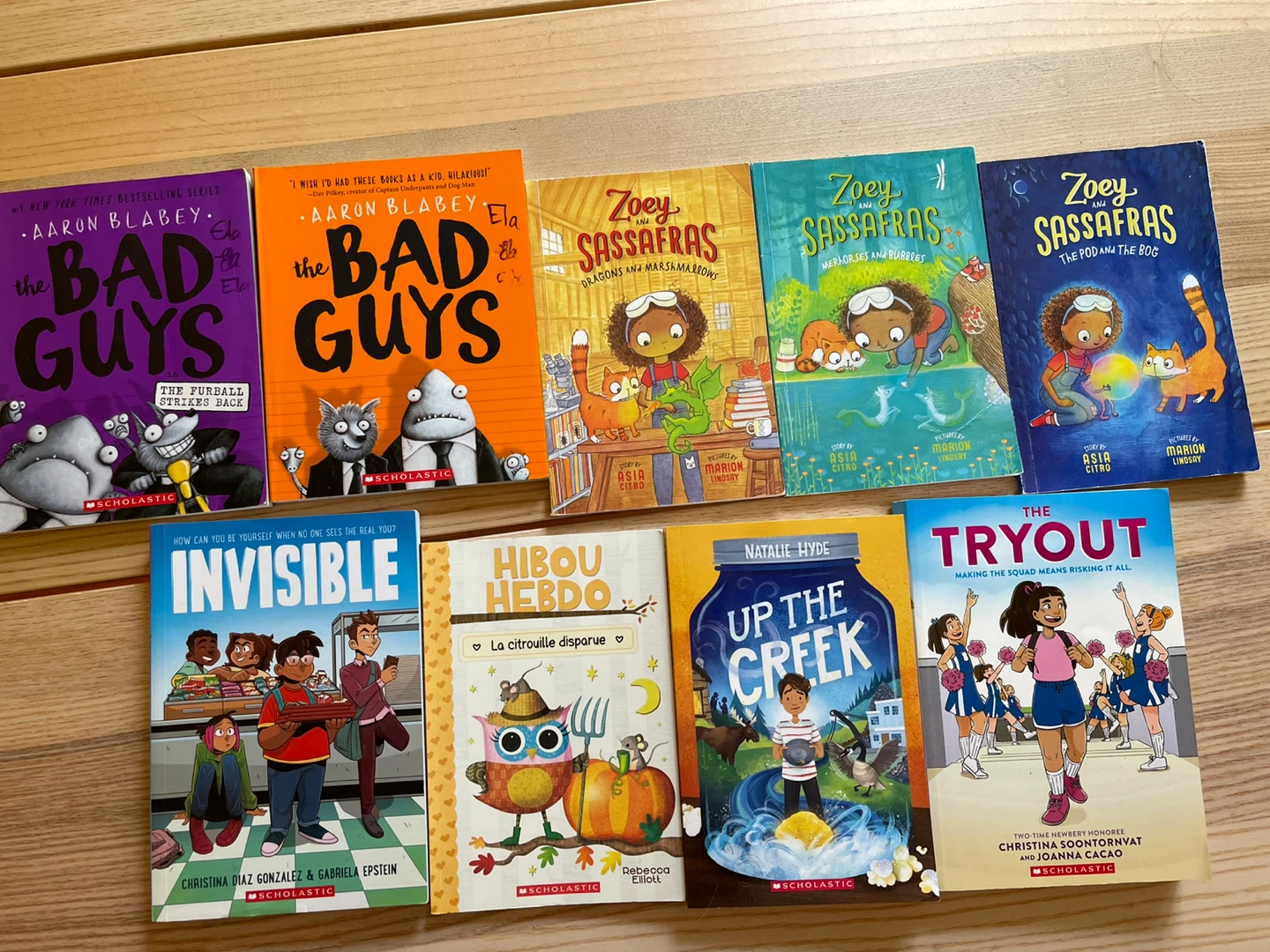 Children's Chapter Books ages 6-12