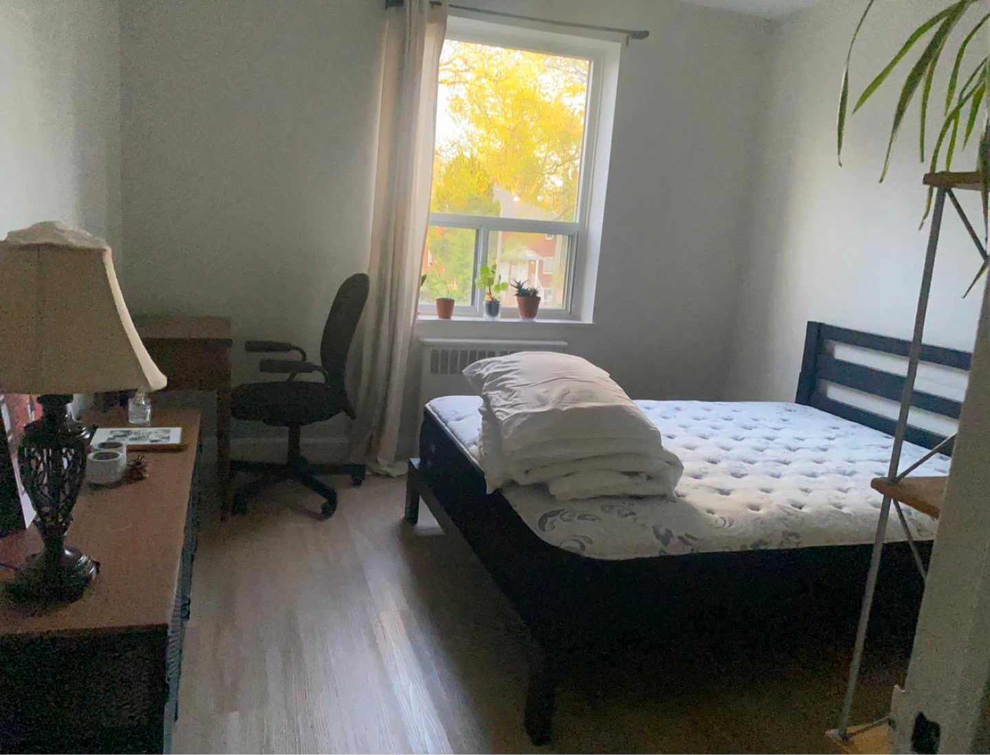 Only Female for rent room