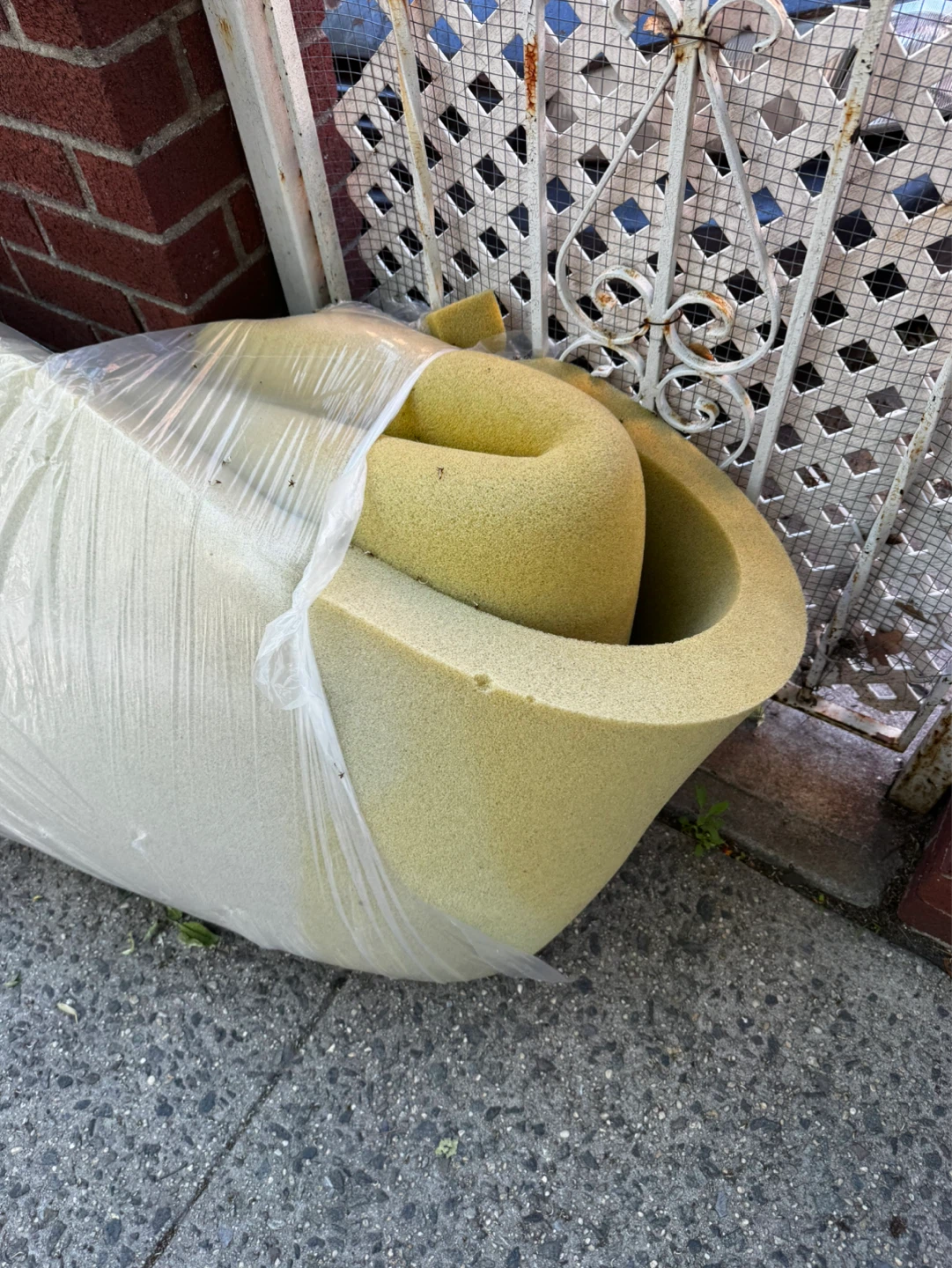 Rolled Foam Cushion king size