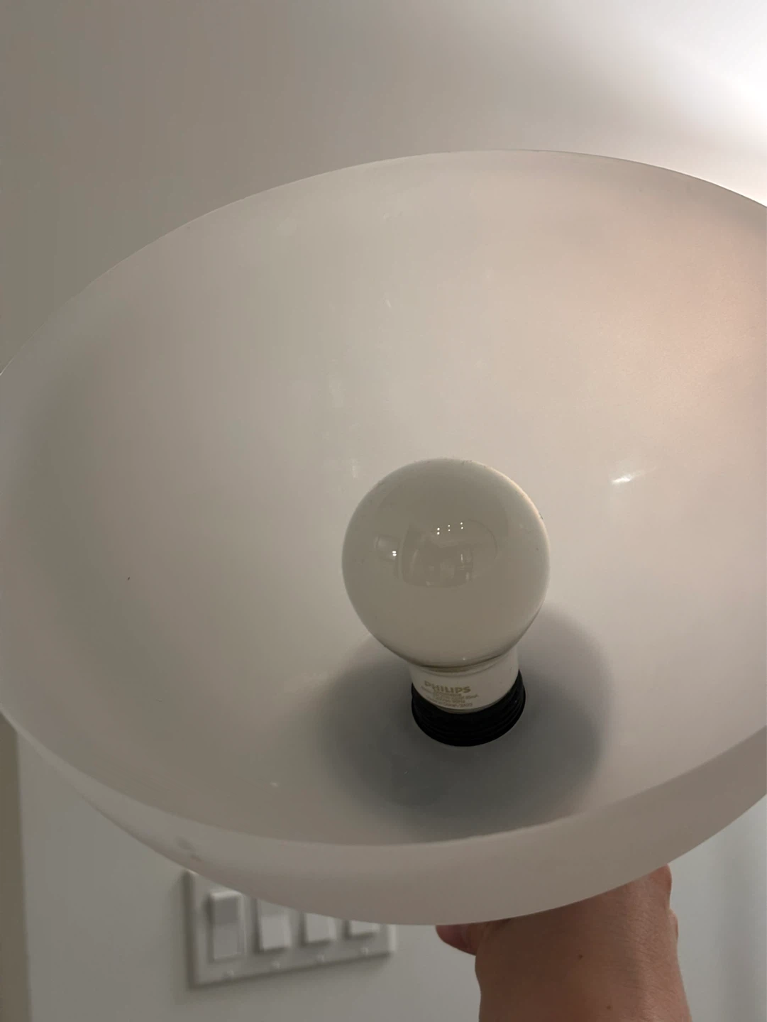 Pair of Floor Lamps with Frosted Shades - photo 4