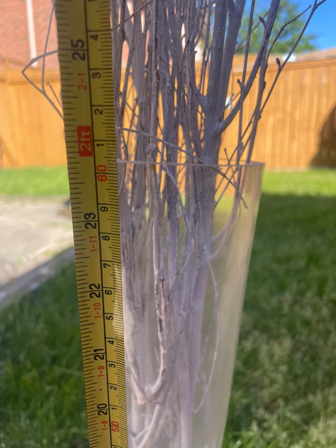 Glass Bud Vases with White Branches (Set of 3) - photo 2