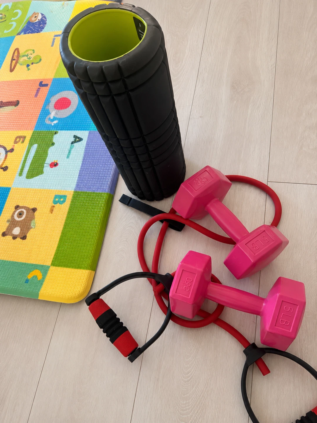 Pink Dumbbells & Resistance Bands Set