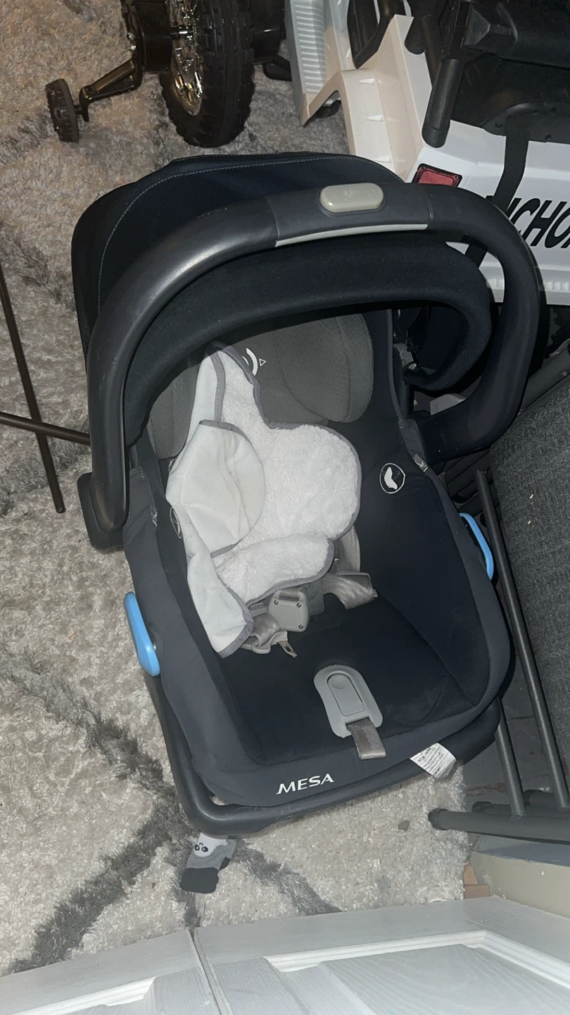 UPPAbaby MESA Infant Car Seat