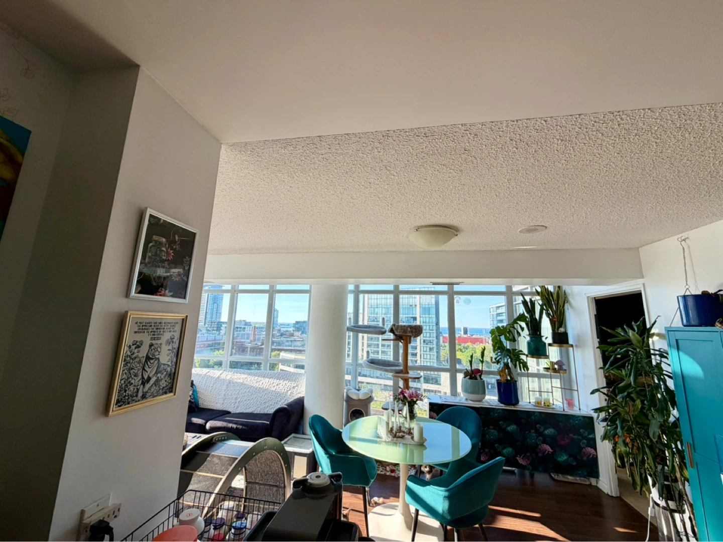 ✨Furnished Room Avail. July-August - photo 5