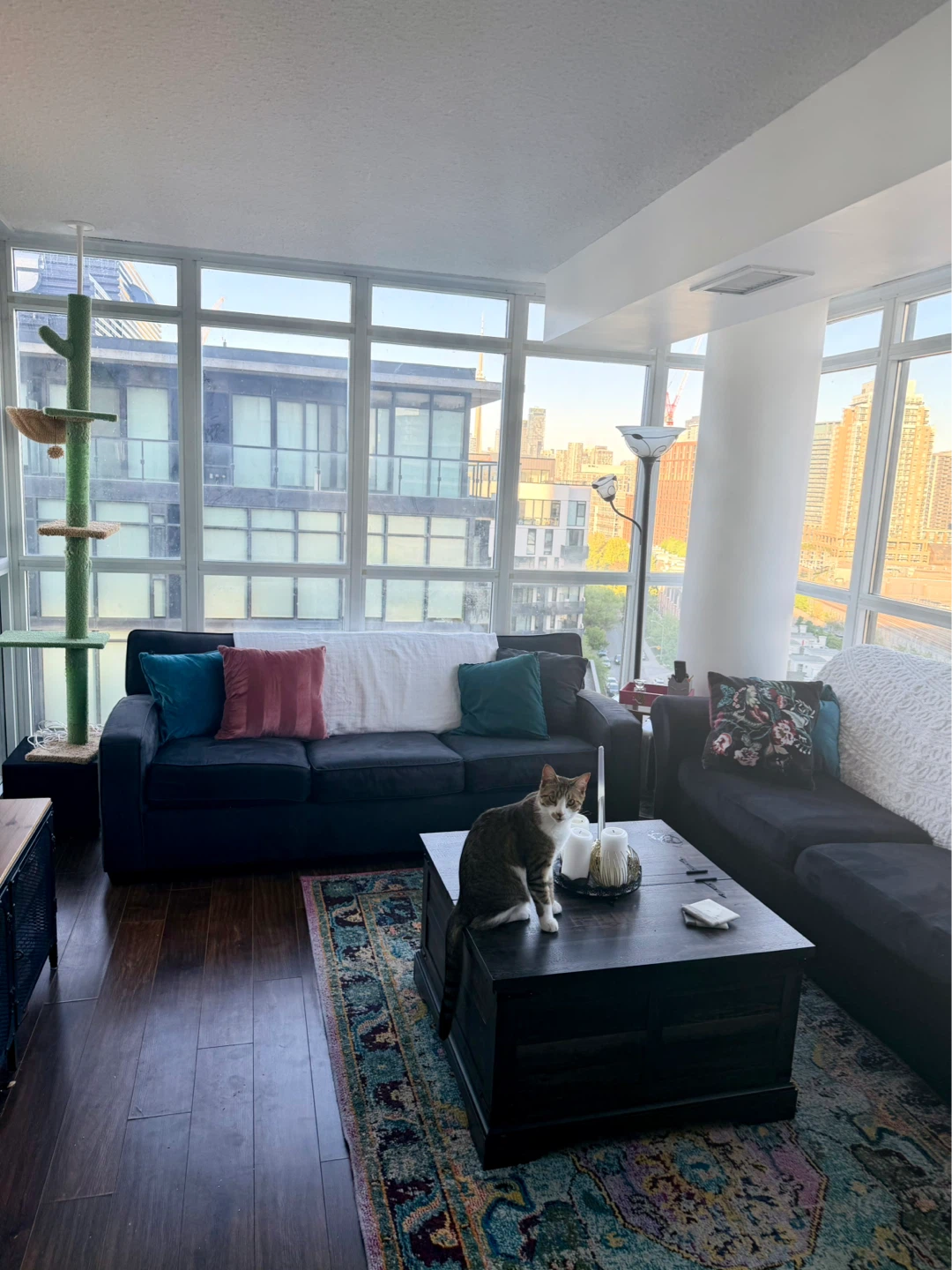 ✨Furnished Room Avail. July-August - photo 2