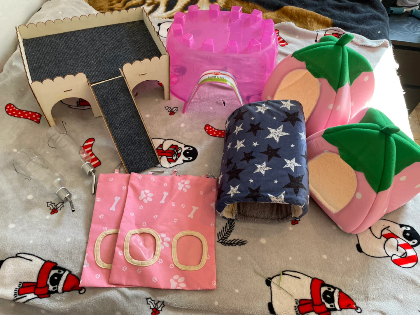 Guinea Pig Supplies/Accessories Lot