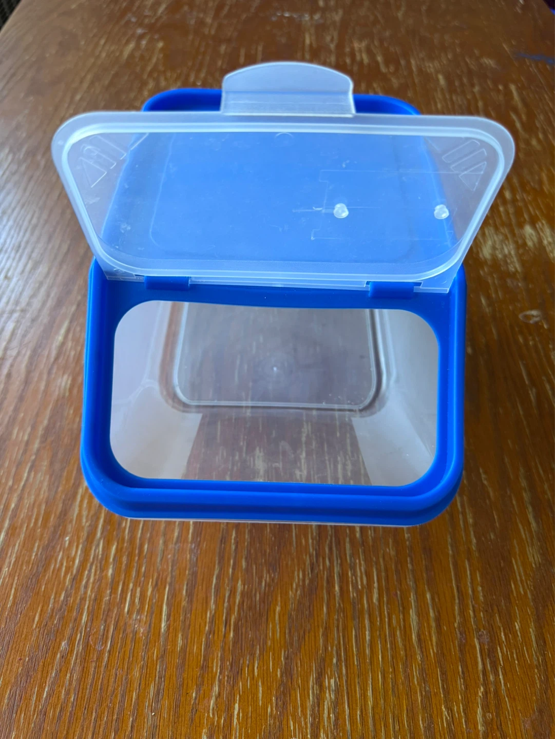 Blue & Clear Storage Container