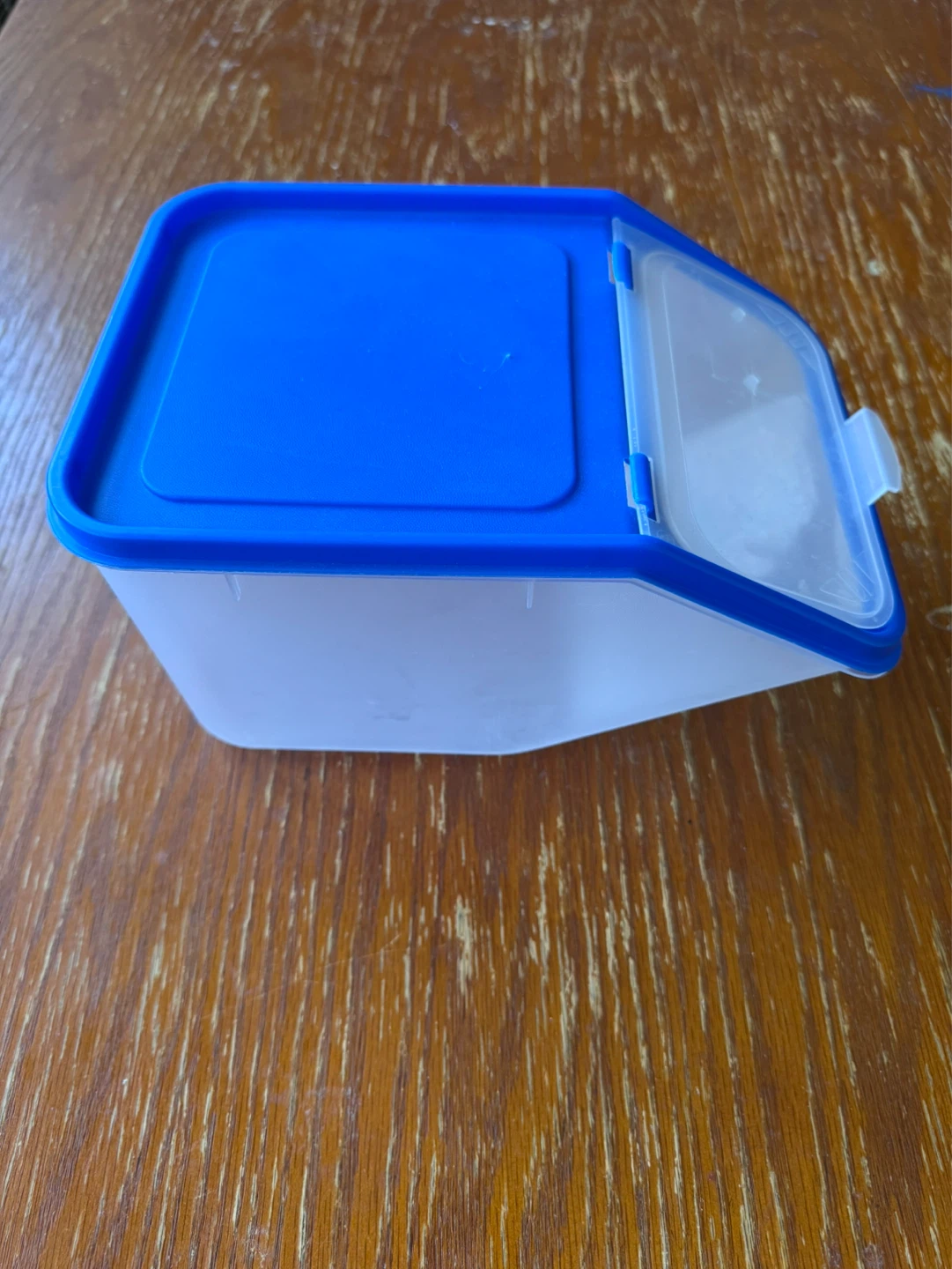 Blue & Clear Storage Container - photo 2