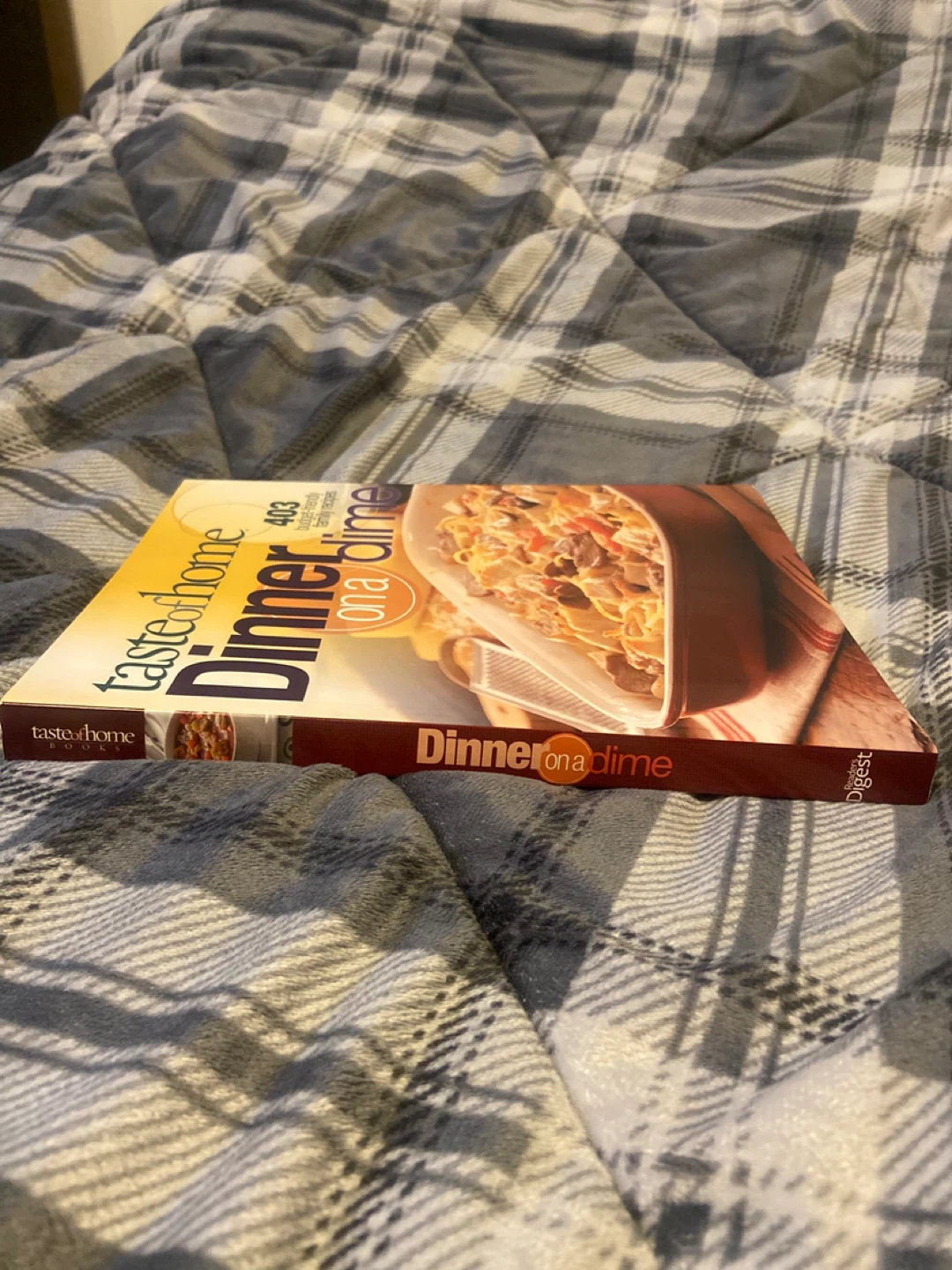 Taste of Home Dinner on a Dime Cookbook - photo 3