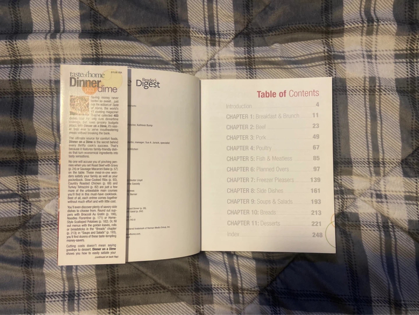 Taste of Home Dinner on a Dime Cookbook - photo 4