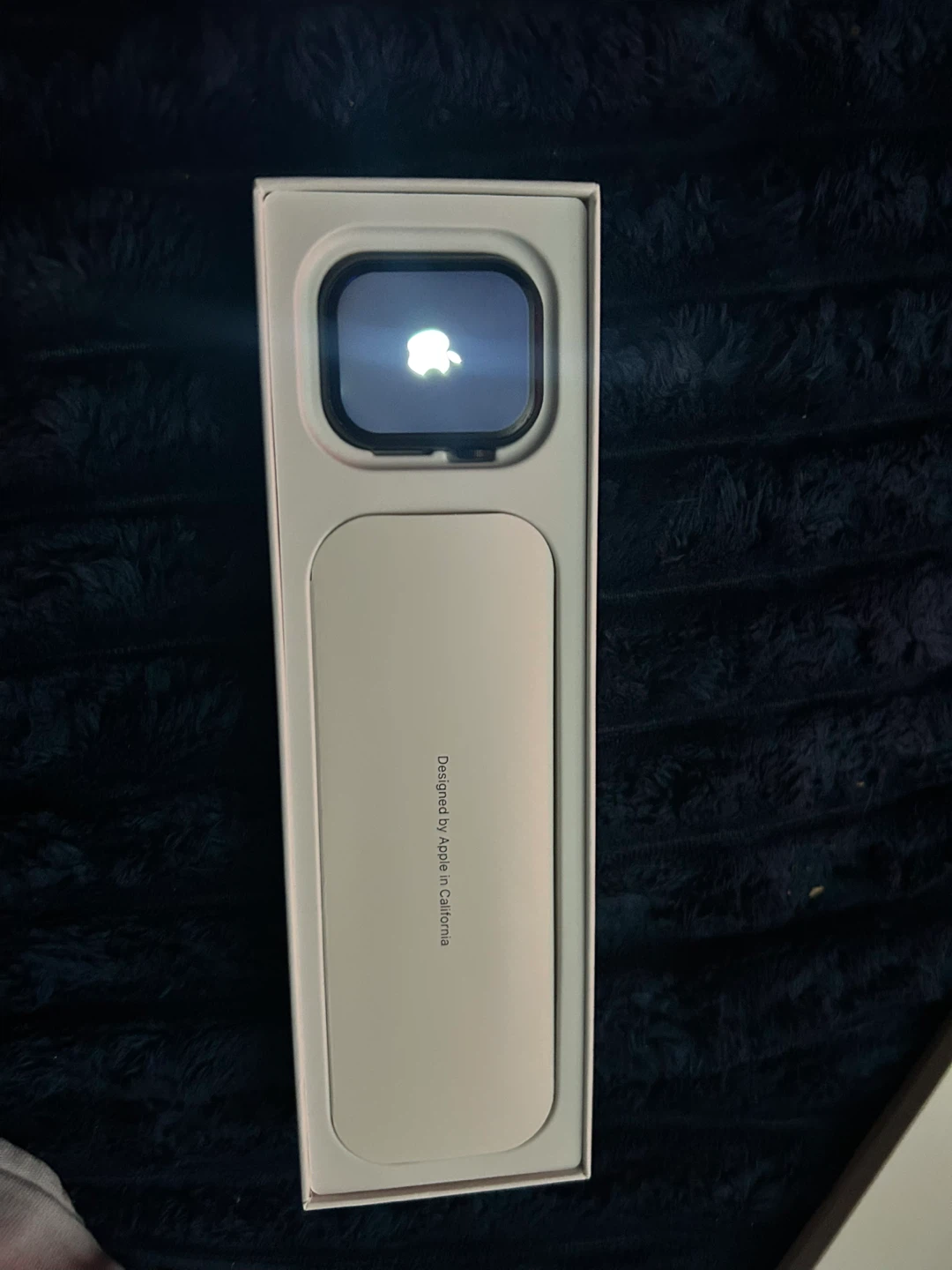 Apple Watch Series 11 - photo 4