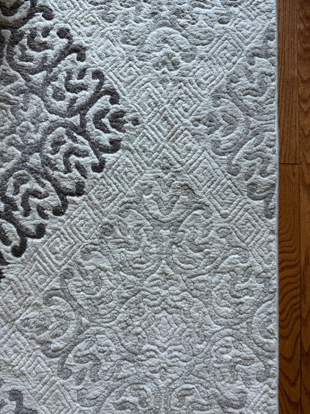 SilkRoad Tampa Area Rug 8' x 10' 5"