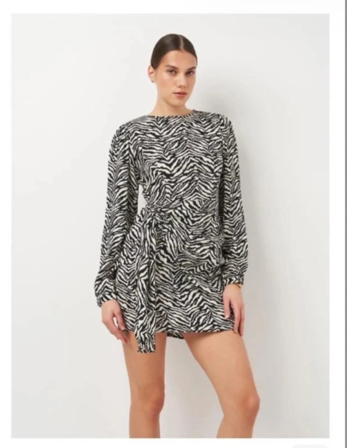 Zara Black and White Zebra Print Tie Waist Dress
