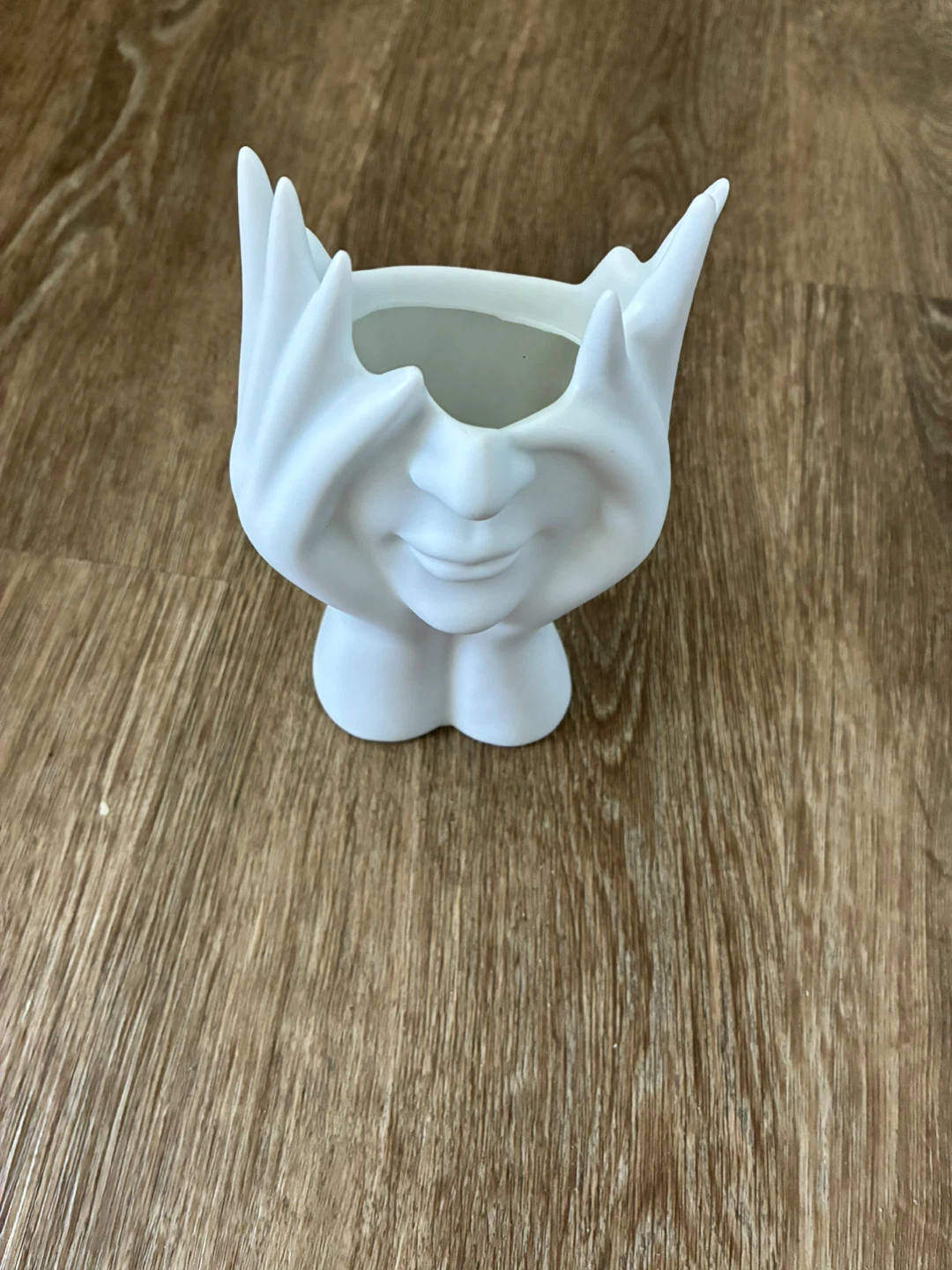 Summer Home White Face Plastic Planter - photo 2