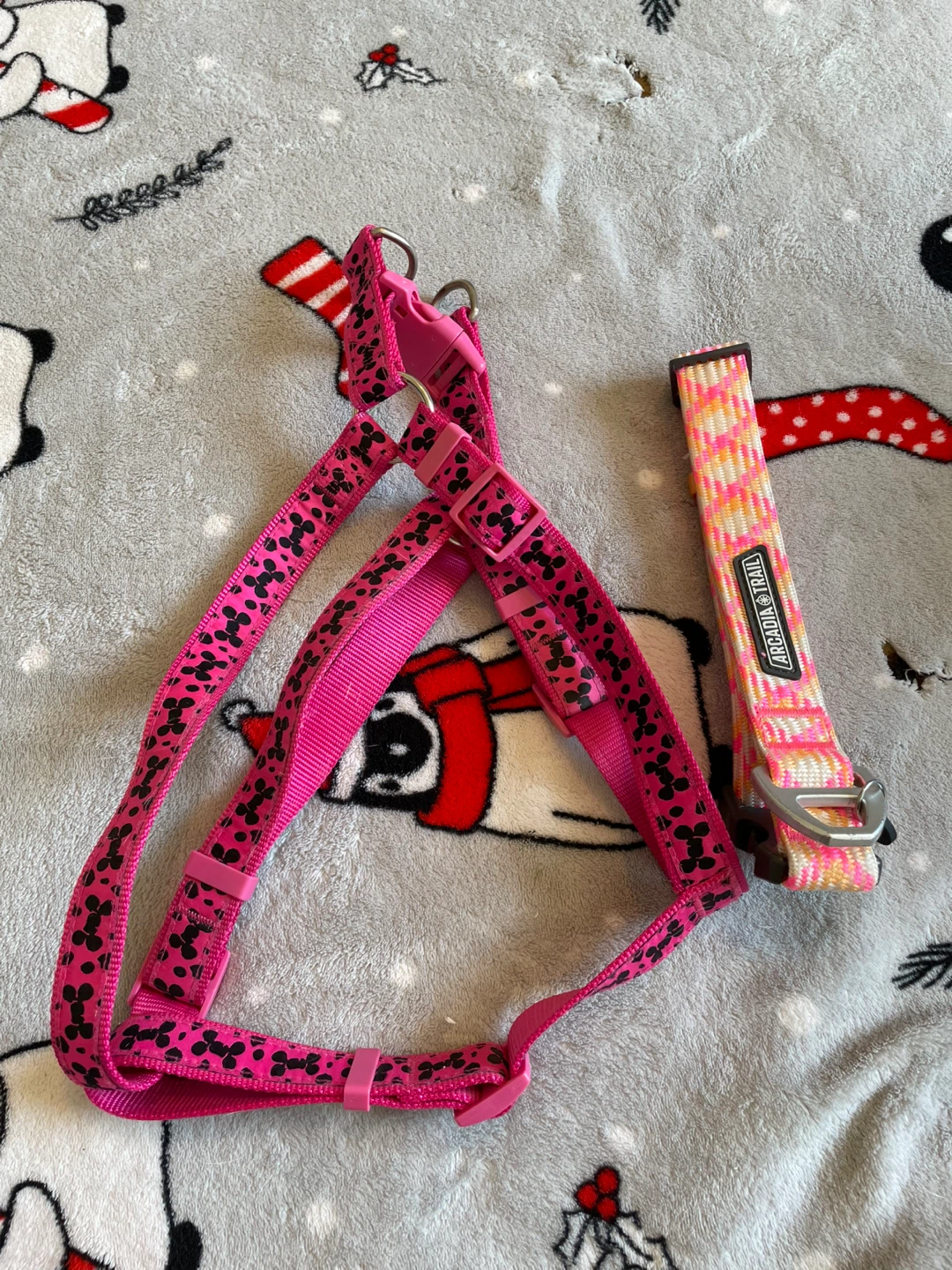 Large Dog Harness & Collar