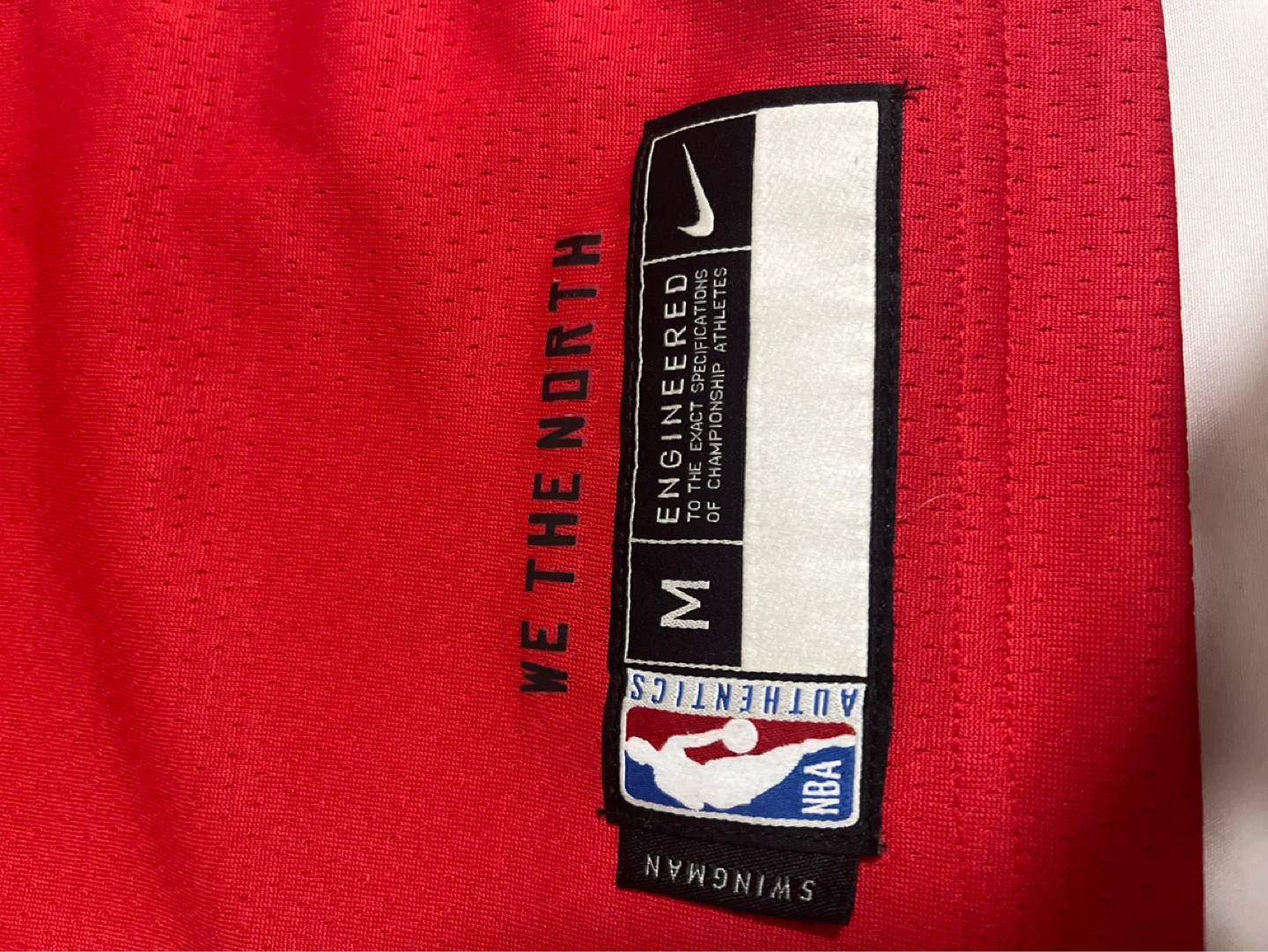 Toronto Raptors "We The North" Scottie Barnes Jersey - photo 3