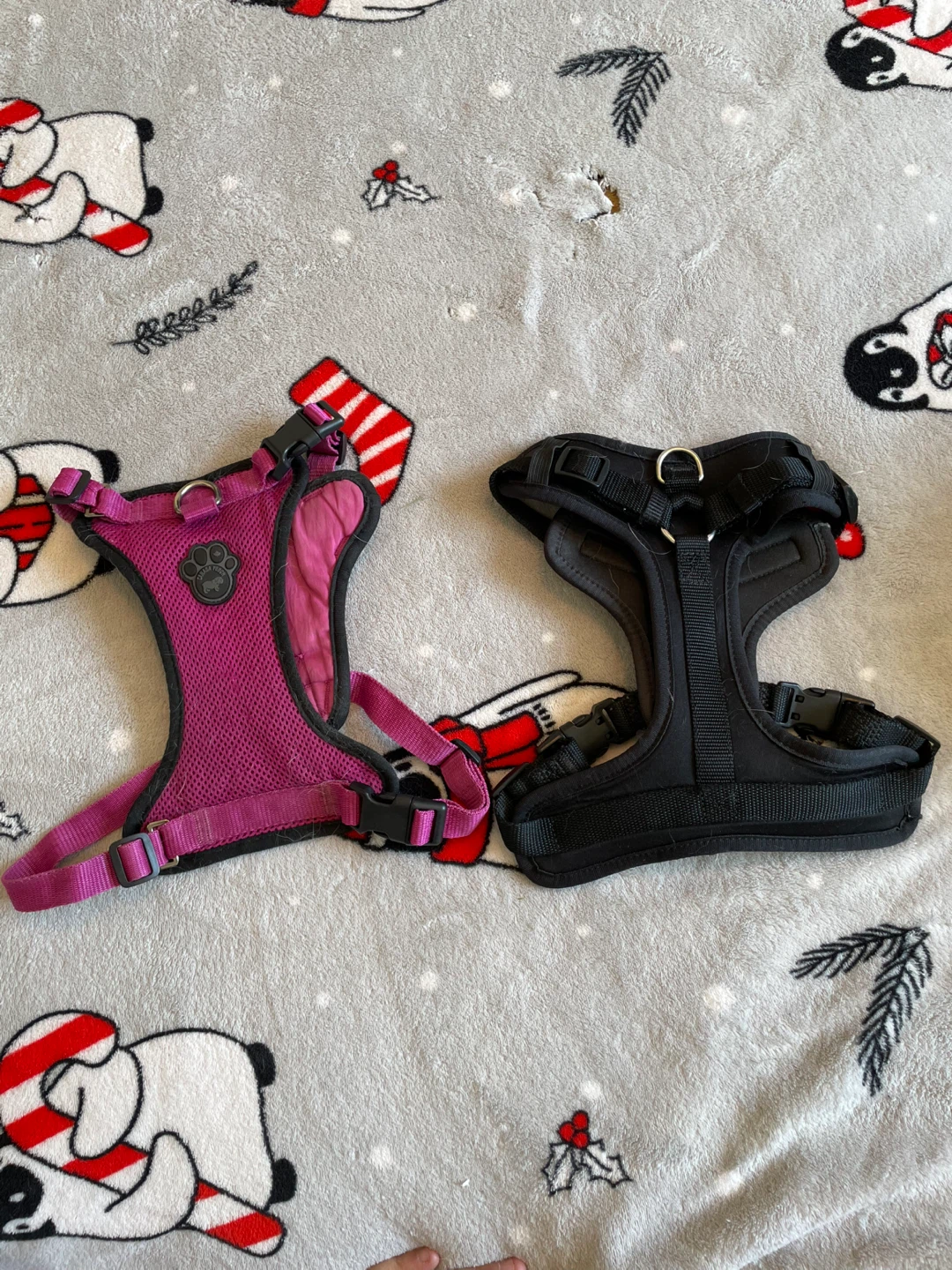 Medium Dog Harnesses Set