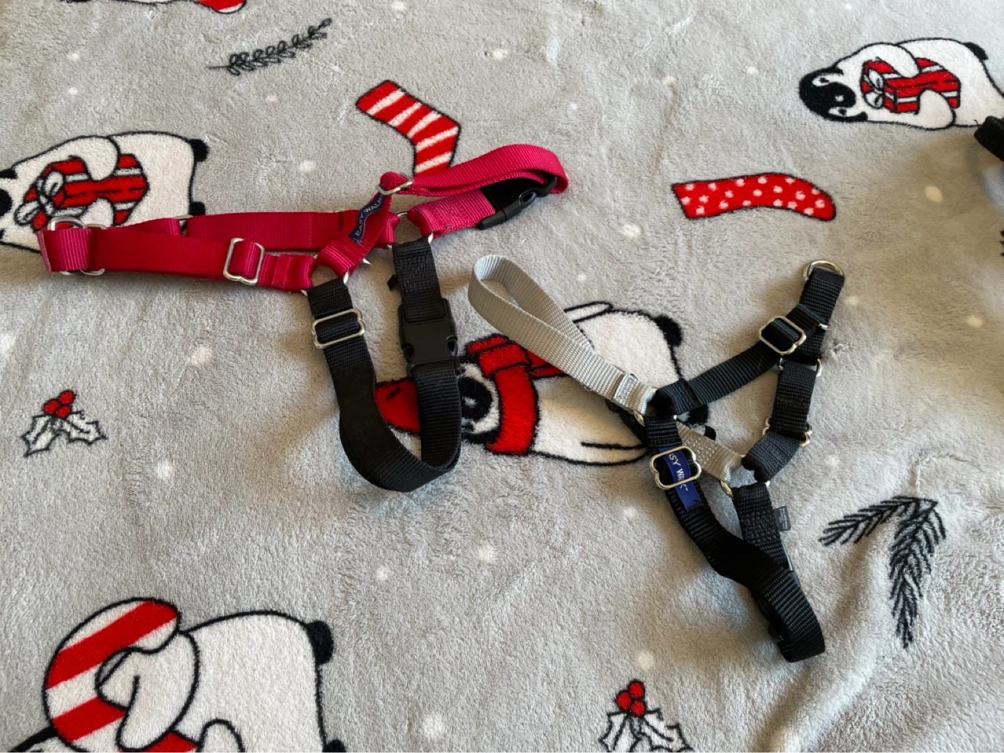 Medium & Large Easy Walk Dog Harnesses ($6 each)