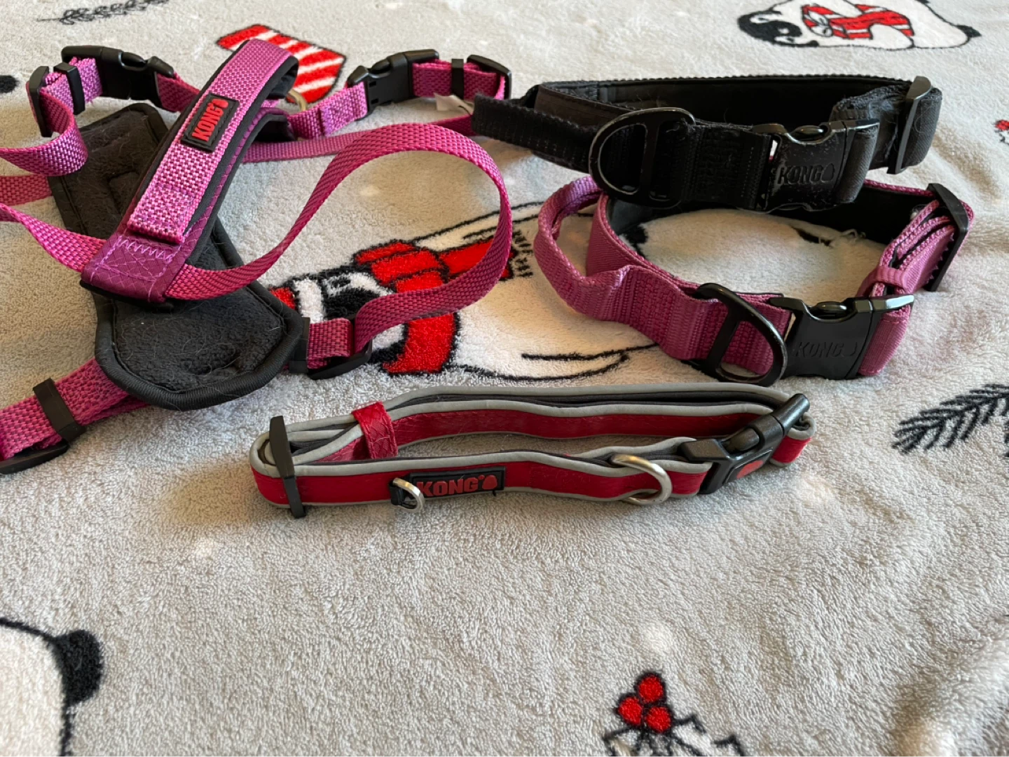 Medium Kong Dog Collars & Harness Lot - photo 2